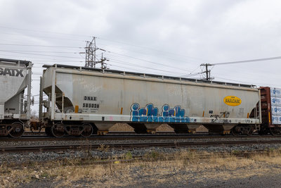 DNAX 585026