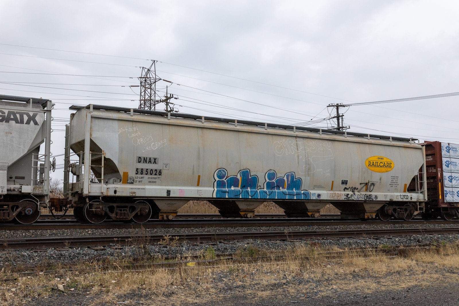 DNAX 585026