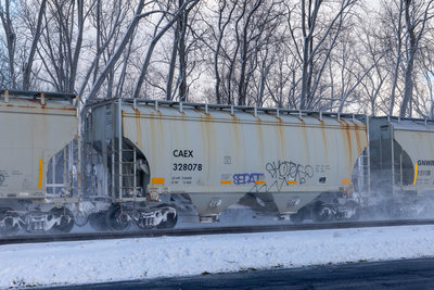 CAEX 328078