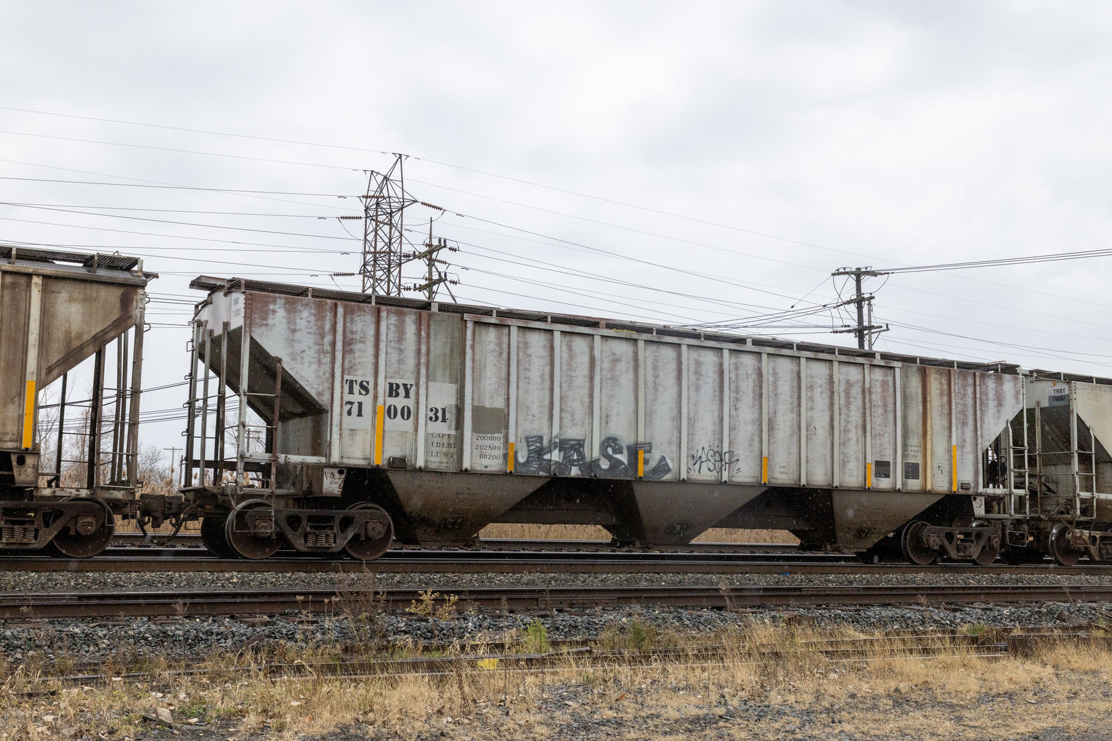 TSBY 710031