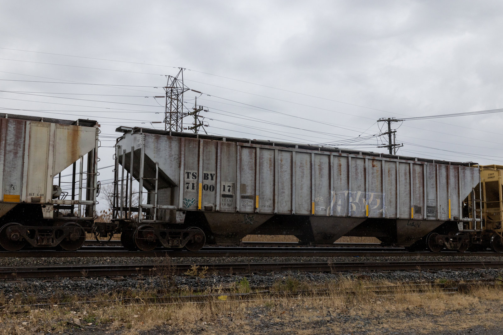 TSBY 710017