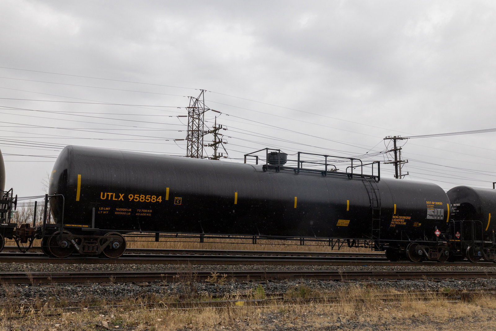UTLX 958584