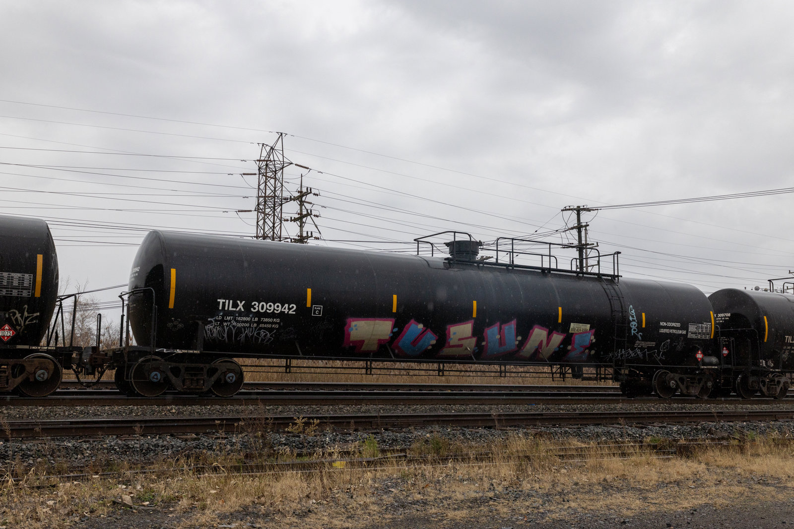 TILX 309942