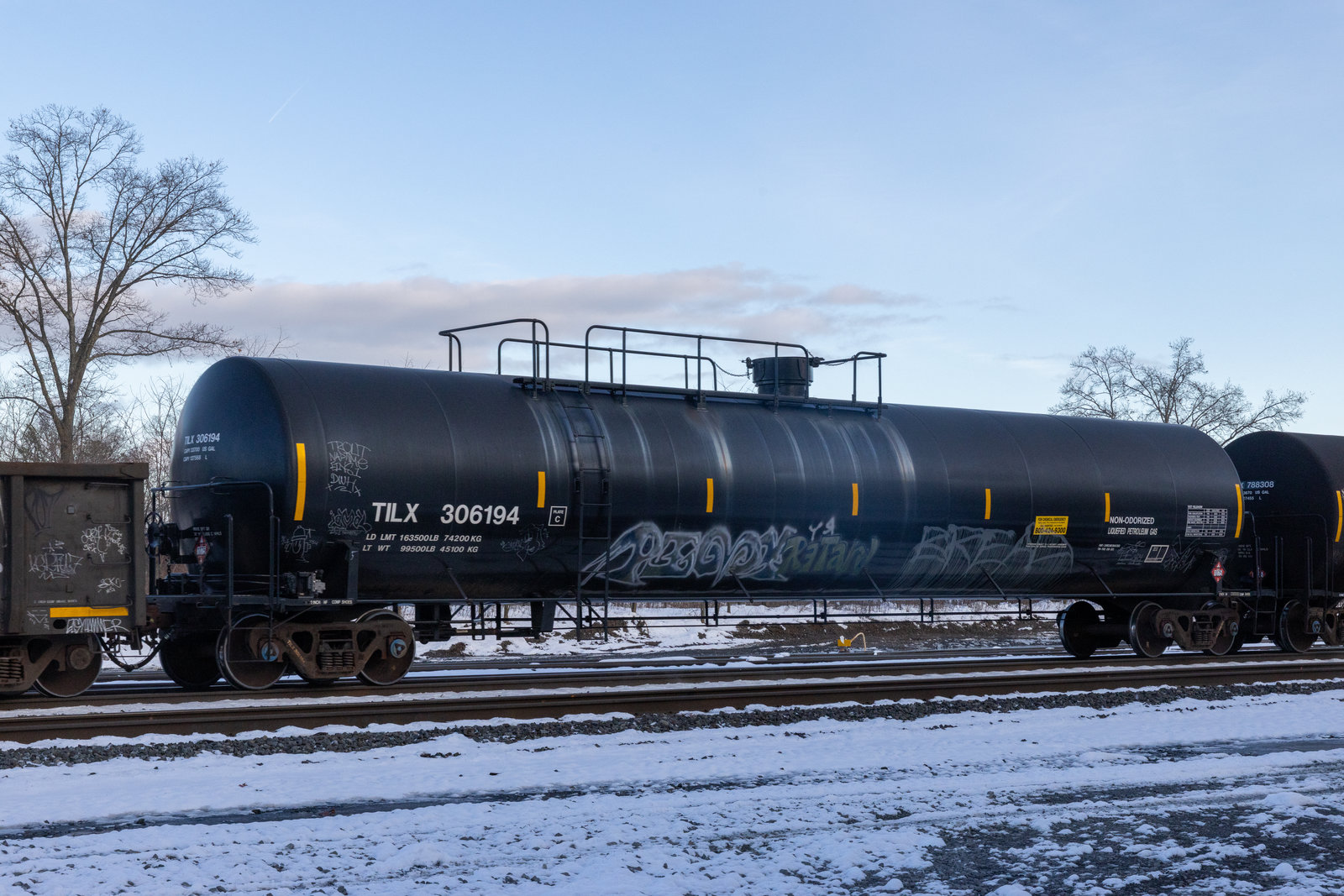 TILX 306194