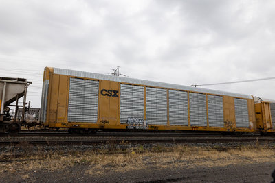 TTGX 823838