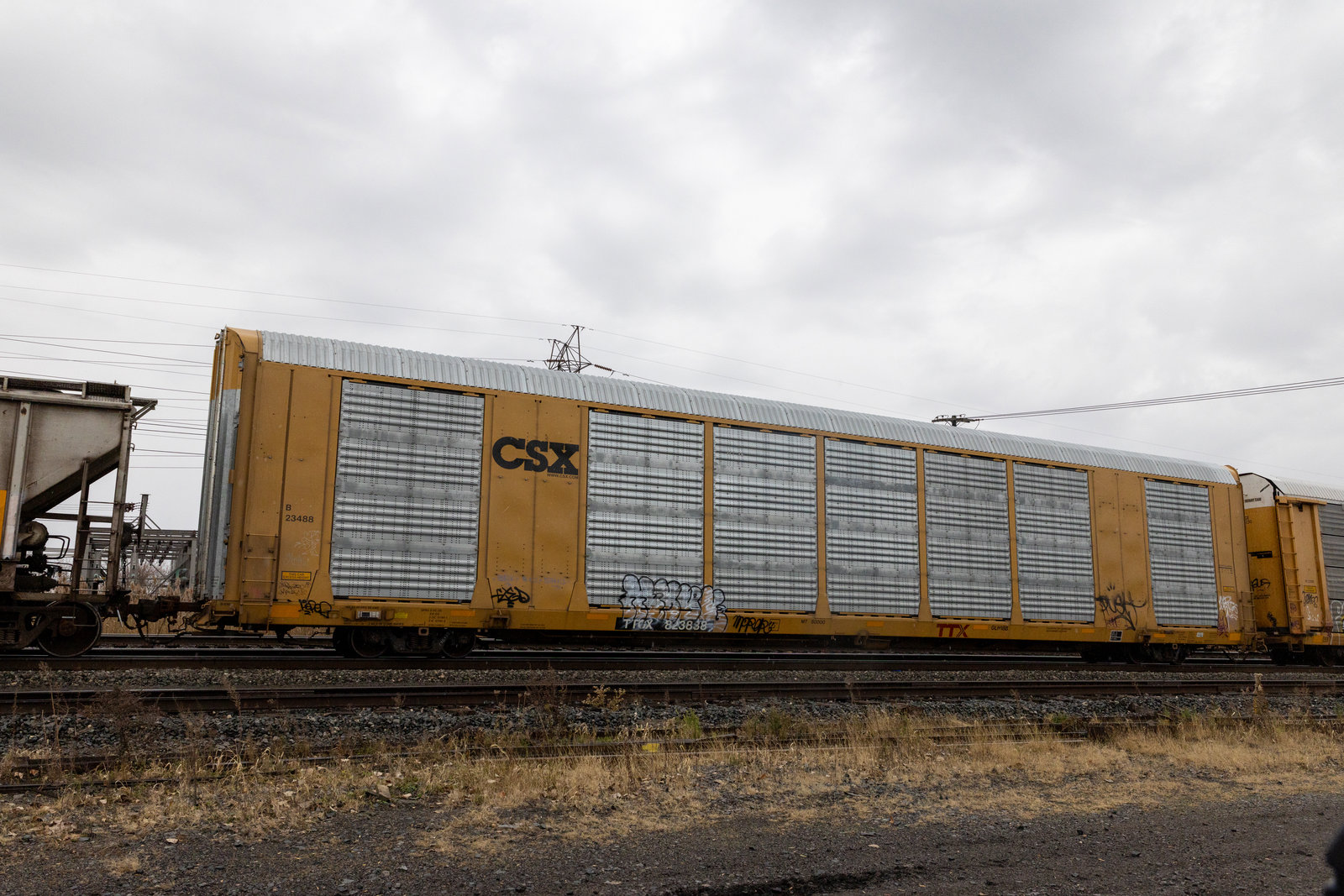 TTGX 823838
