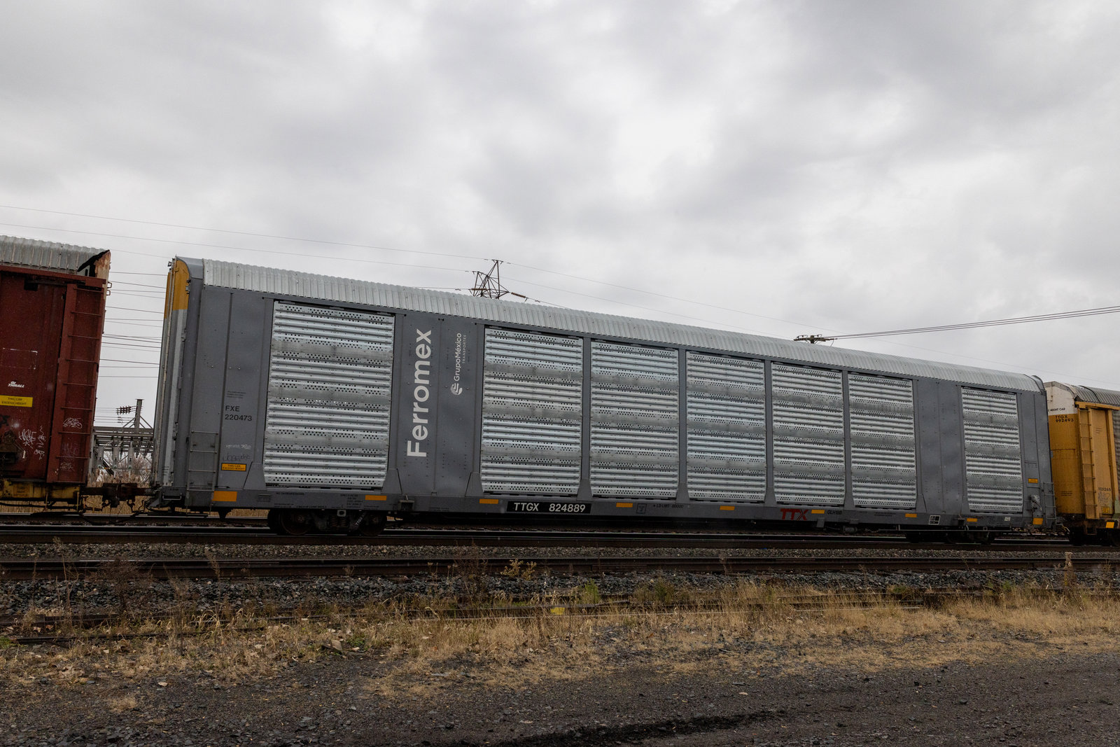 TTGX 824889
