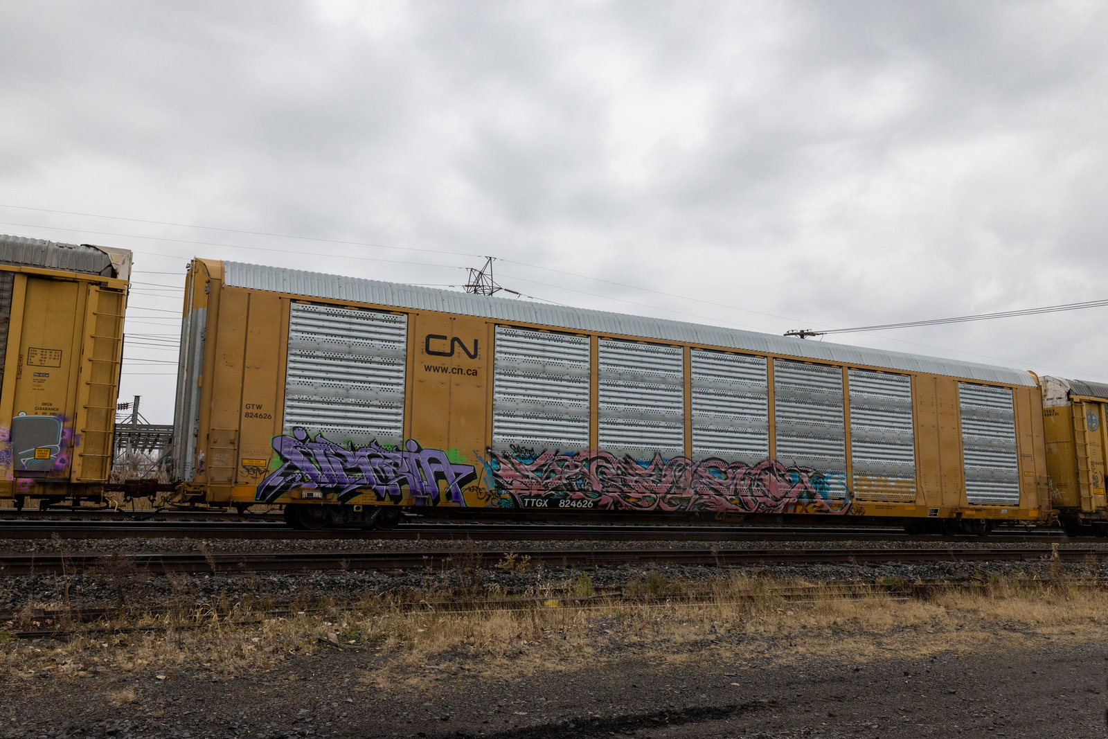 TTGX 824626