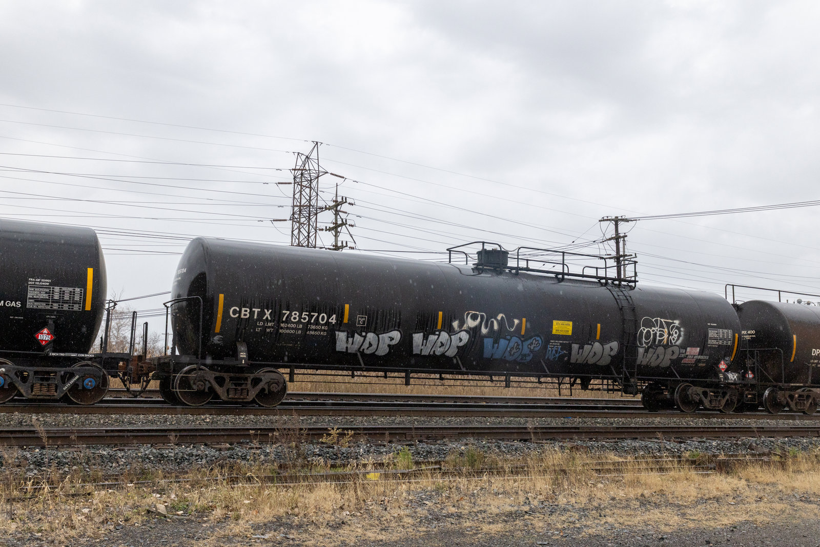 CBTX 785704