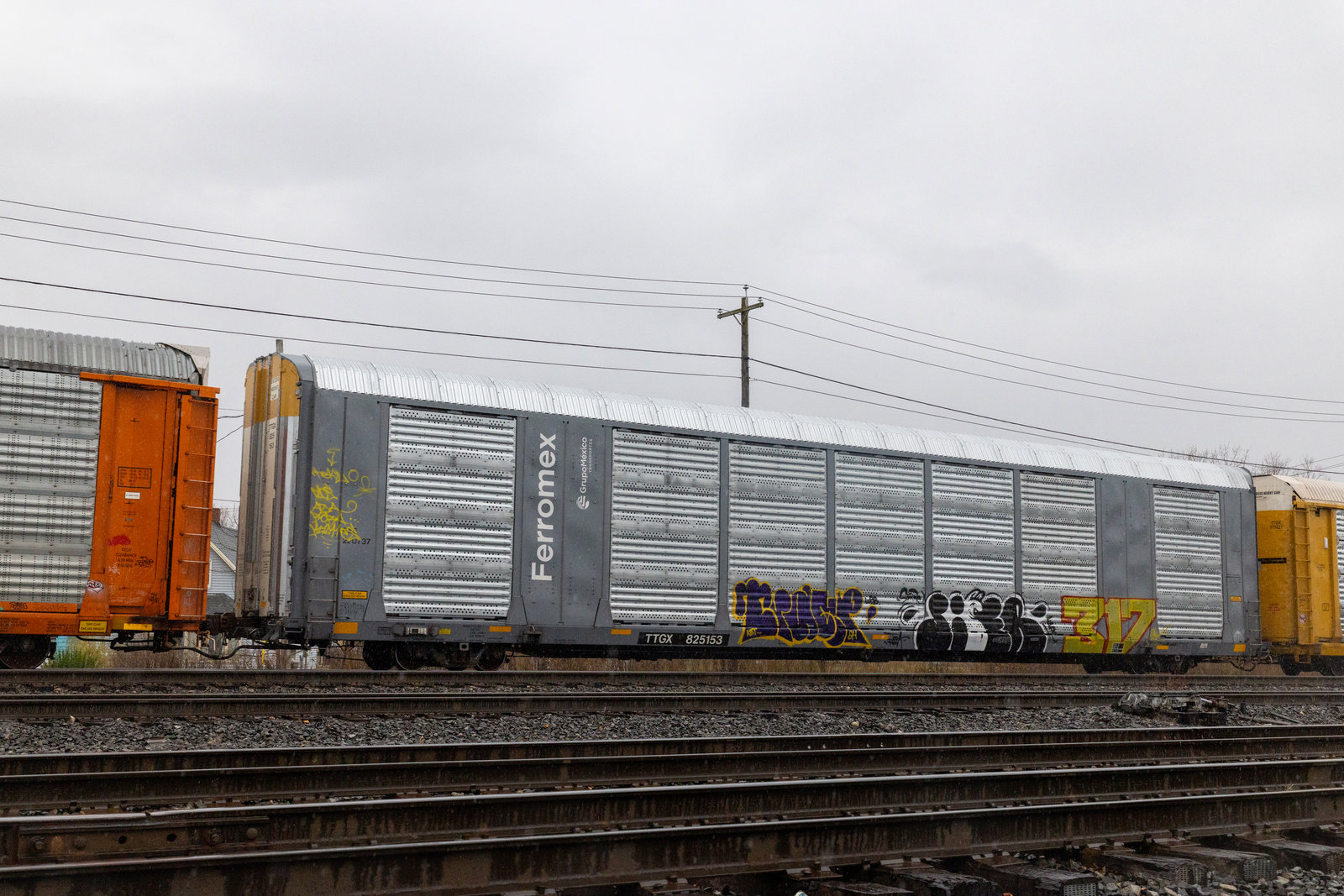 TTGX 825153