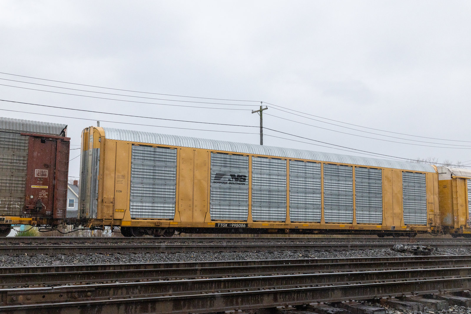 TTGX 995086
