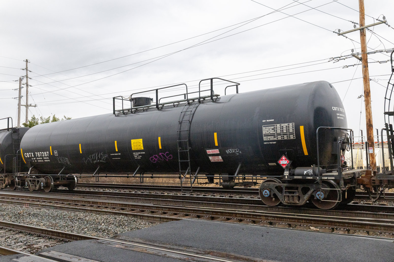 CBTX 787287