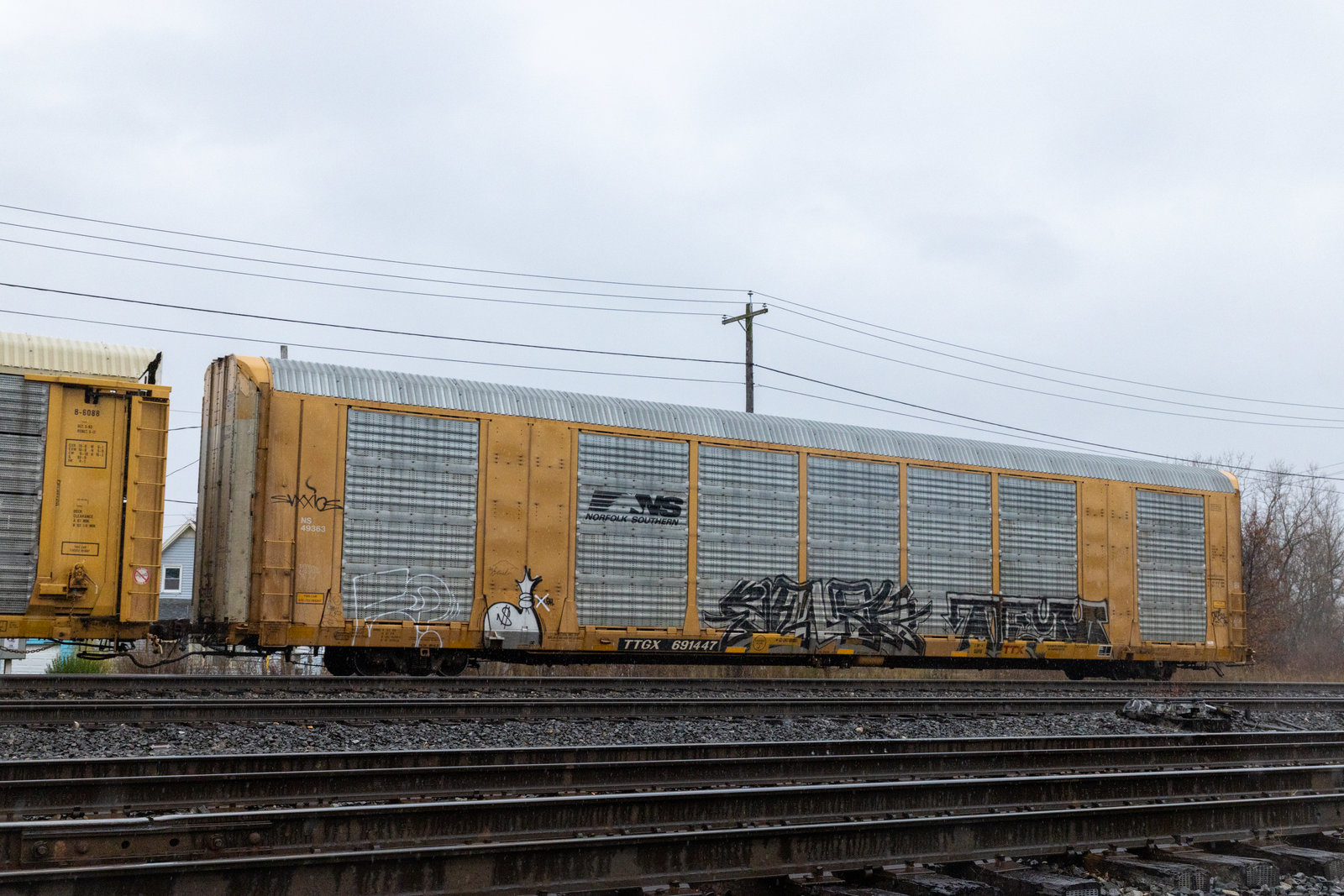 TTGX 691447