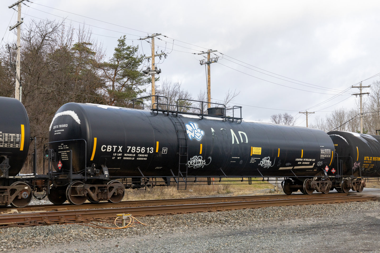 CBTX 785613