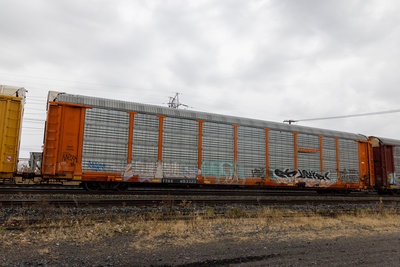 TTGX 953323