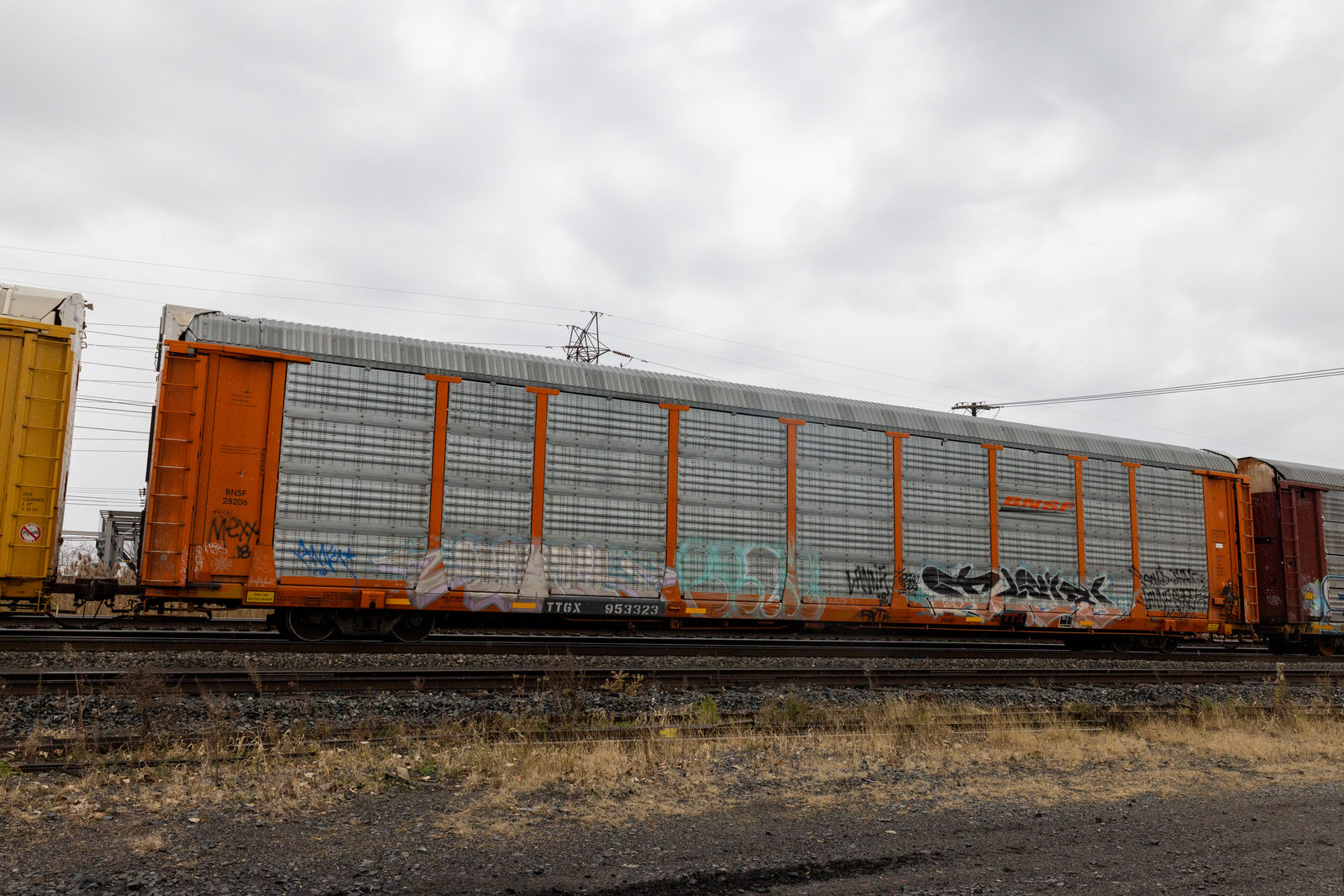 TTGX 953323