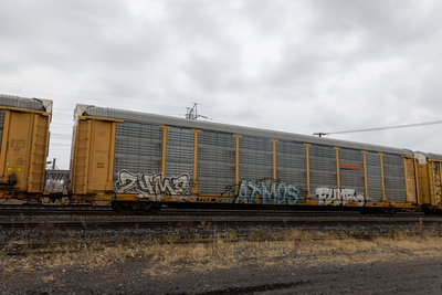 TTGX 973283
