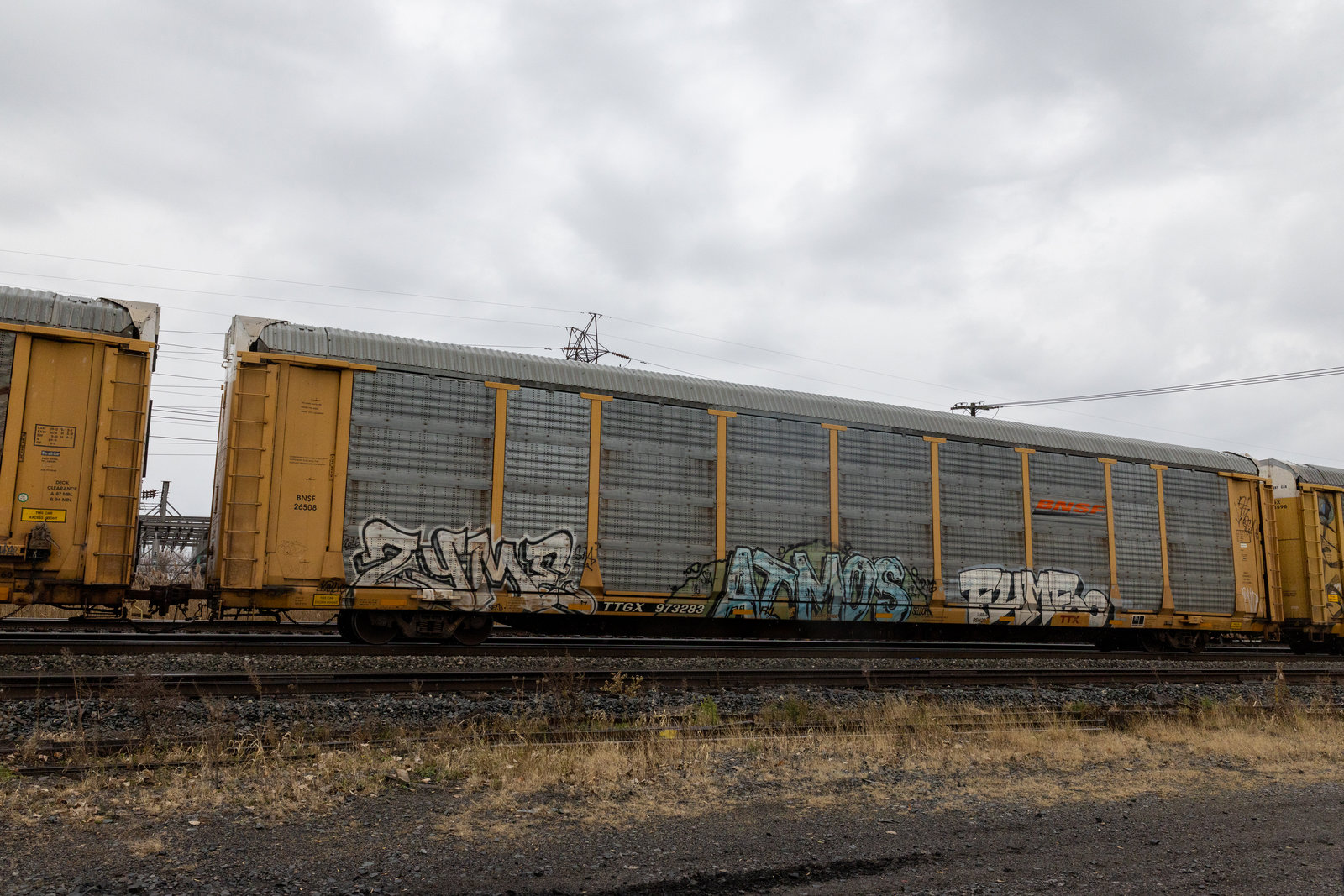 TTGX 973283