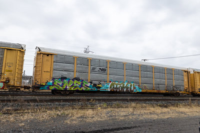 TTGX 990337