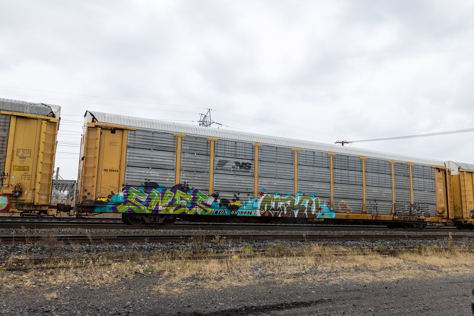 TTGX 990337