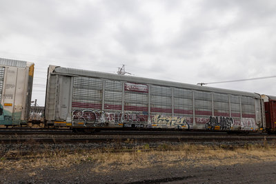 TTGX 705419