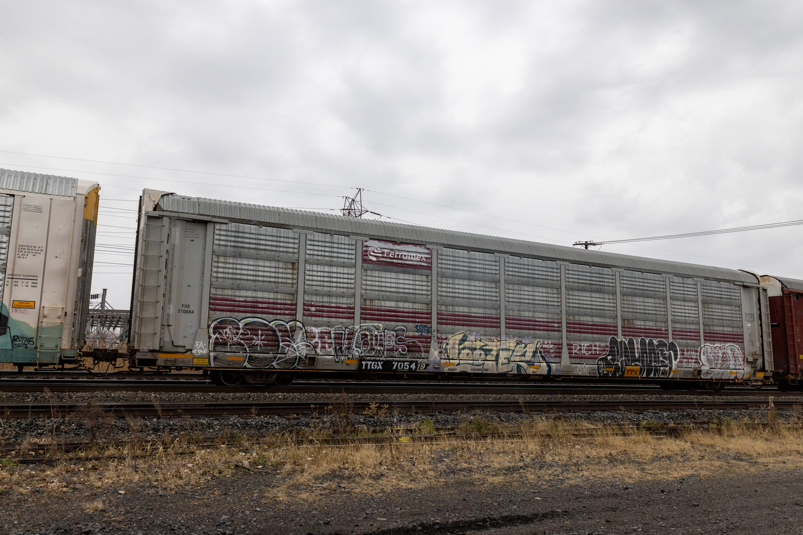 TTGX 705419