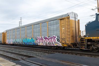 TTGX 702403