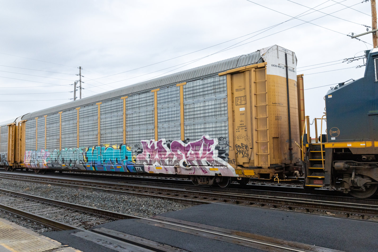 TTGX 702403