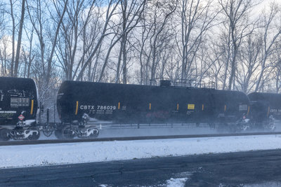 CBTX 786029