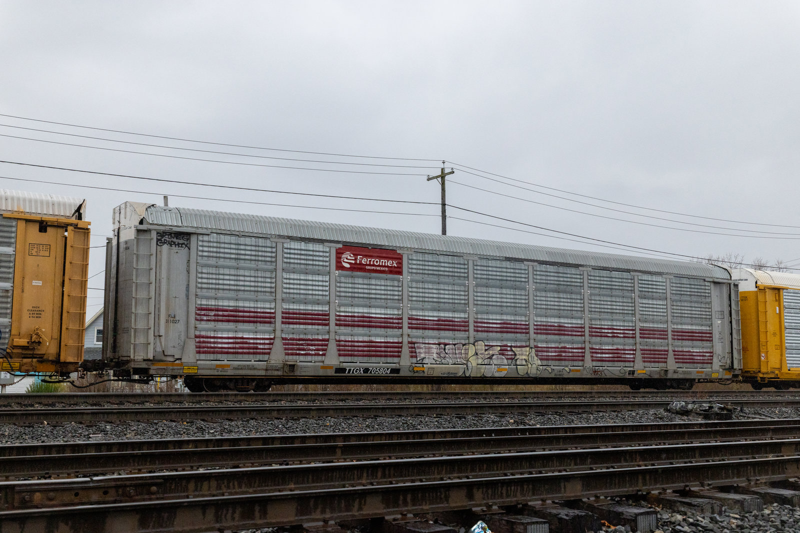 TTGX 705804