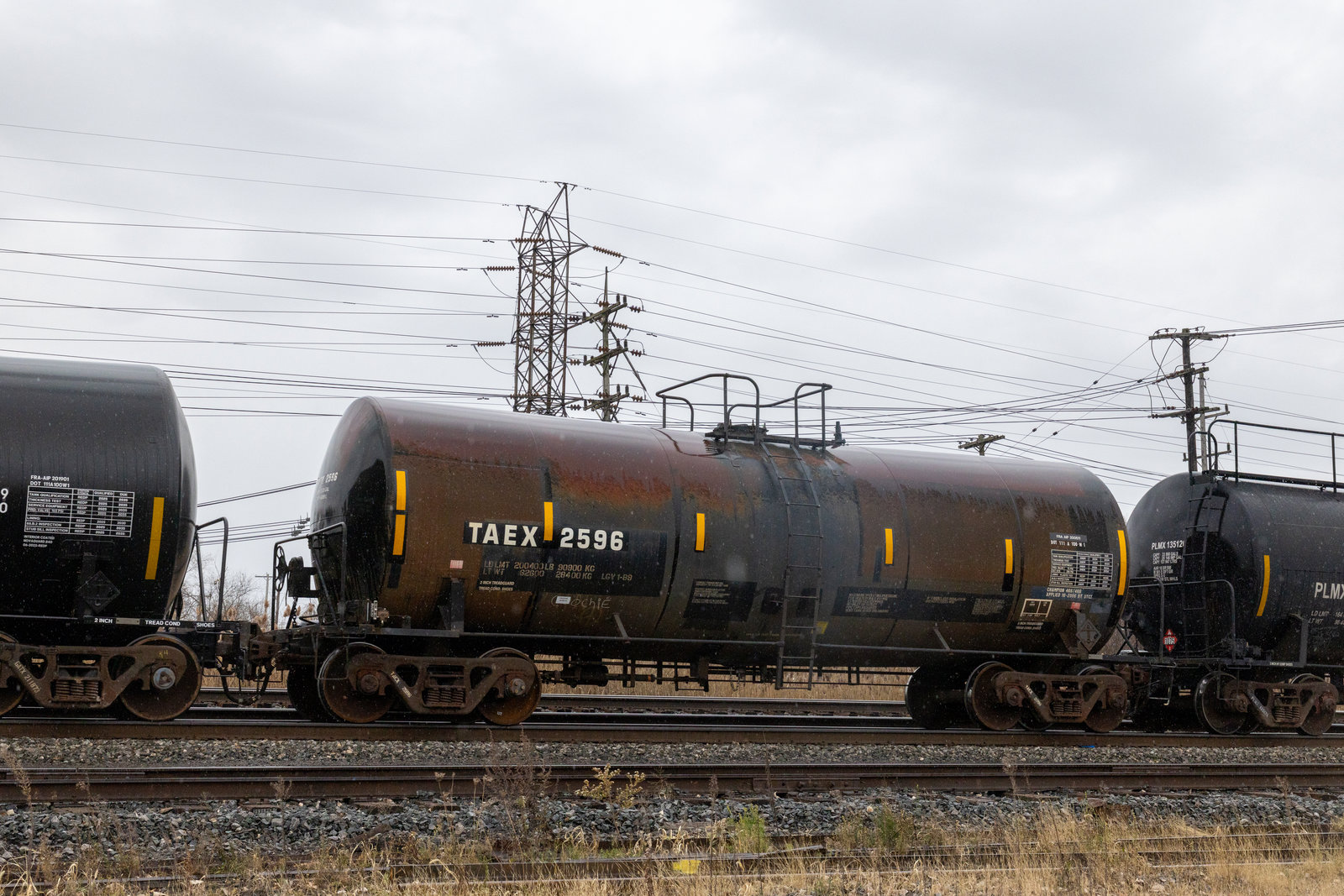 TAEX 2596