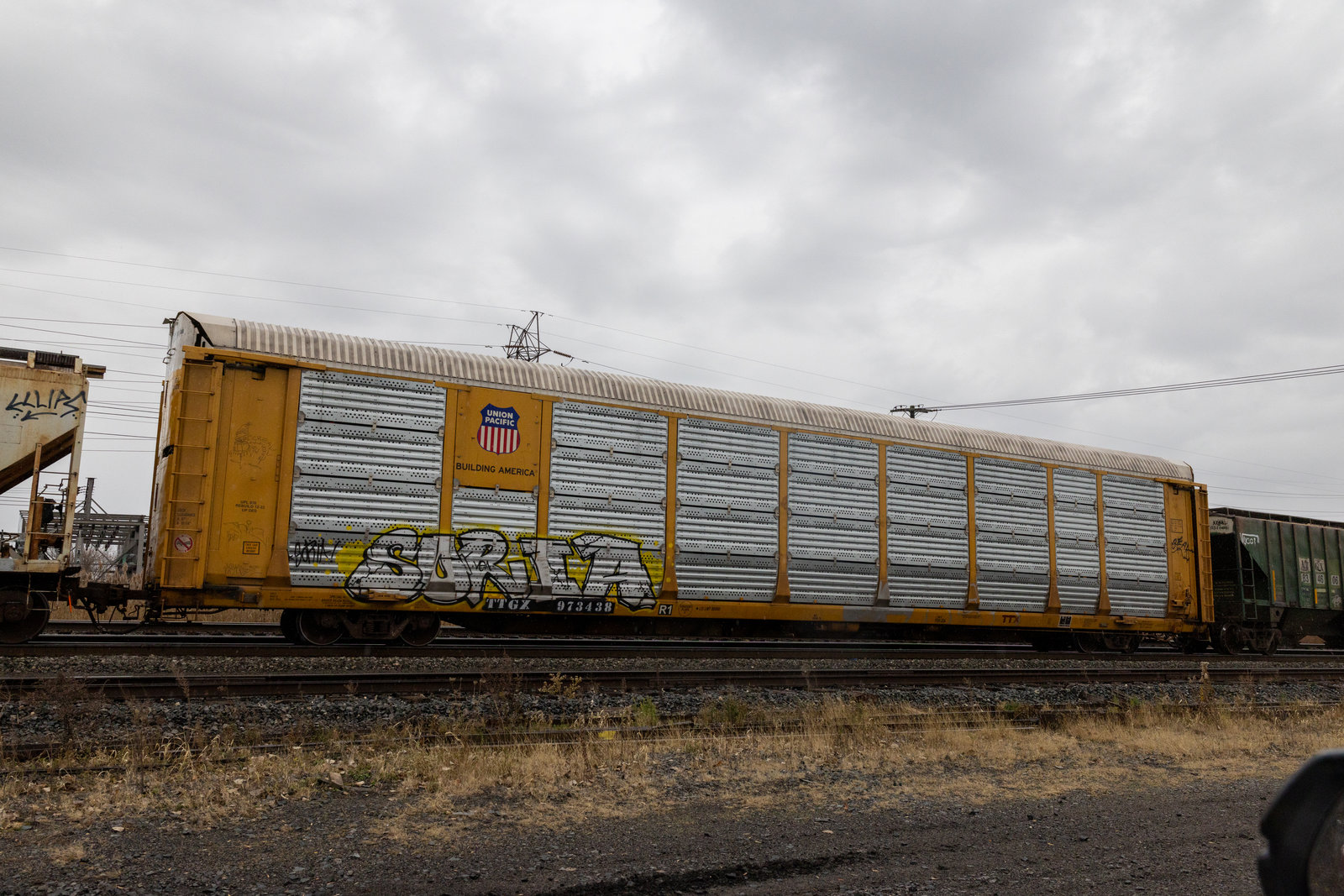 TTGX 973438