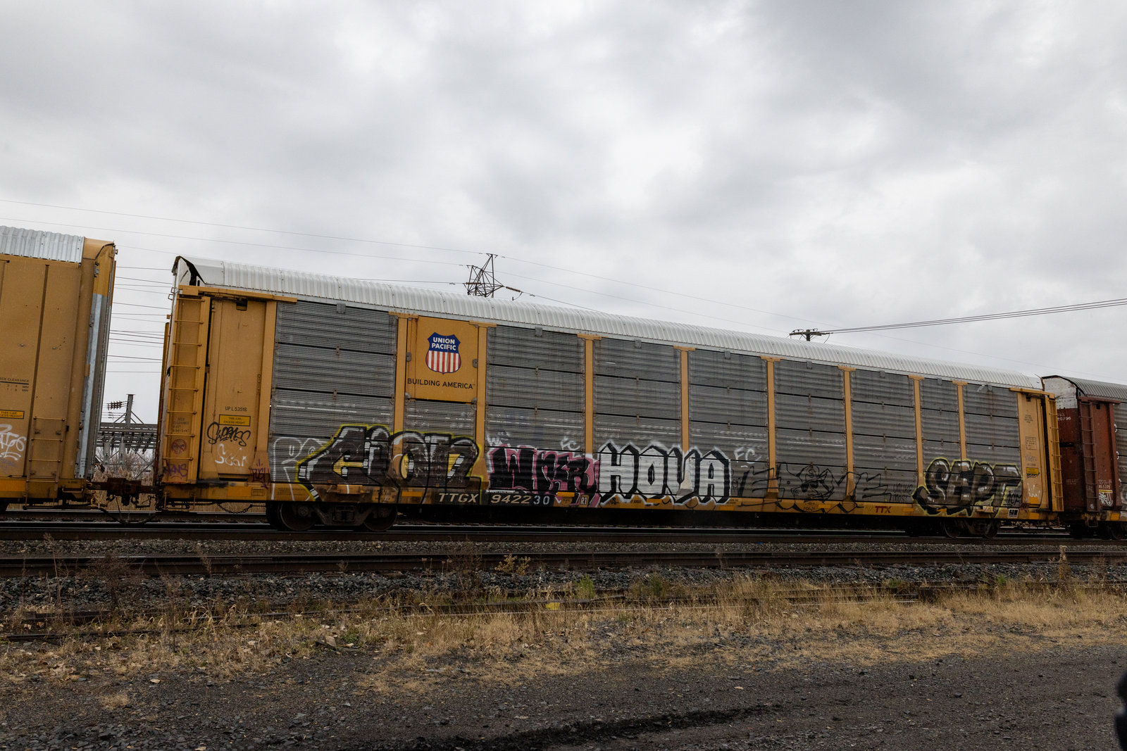 TTGX 942230