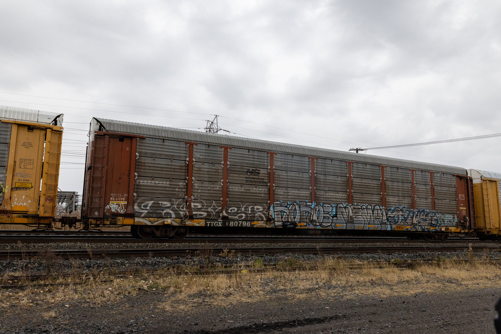TTGX 980796
