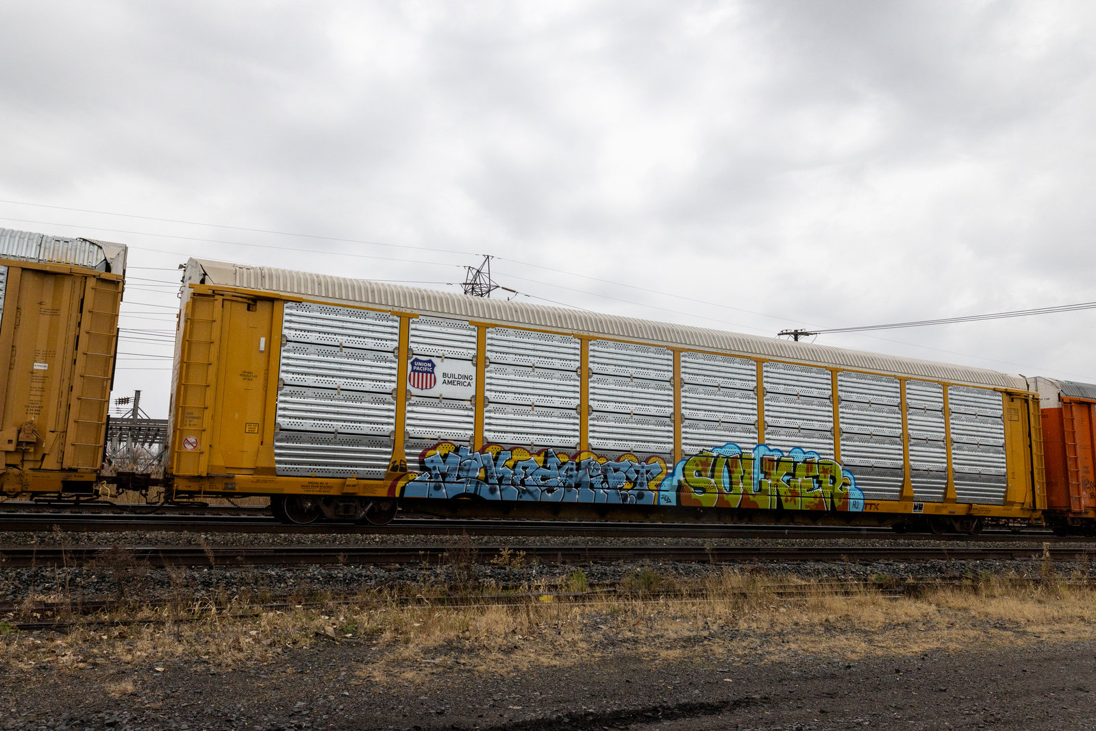 TTGX xx3482