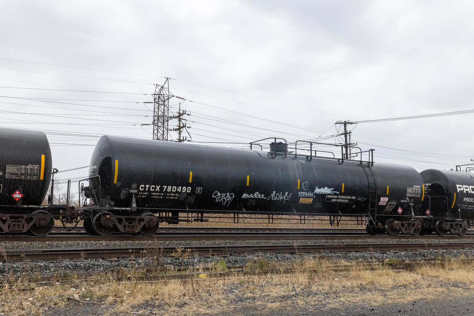 CTCX 780490