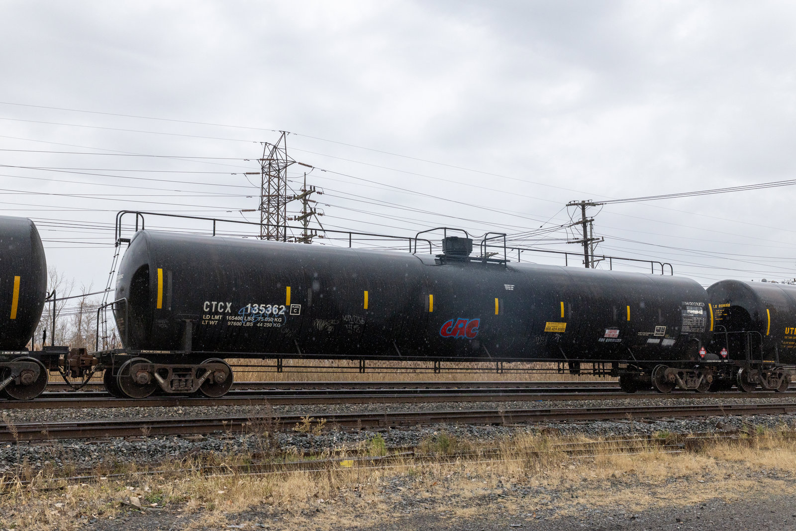 CTCX 135362