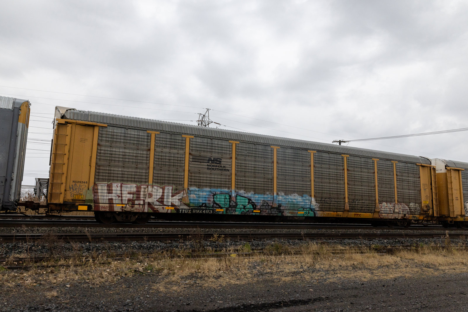 TTGX 992493