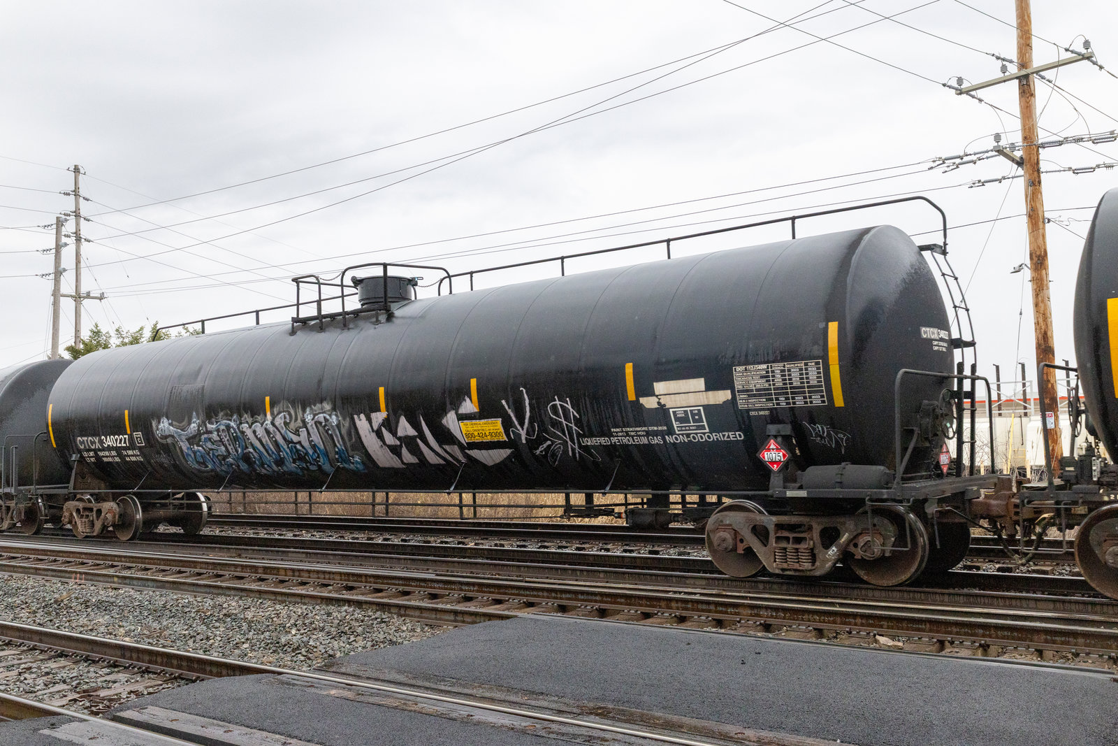 CTCX 340227