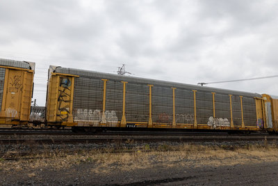 TTGX 994598