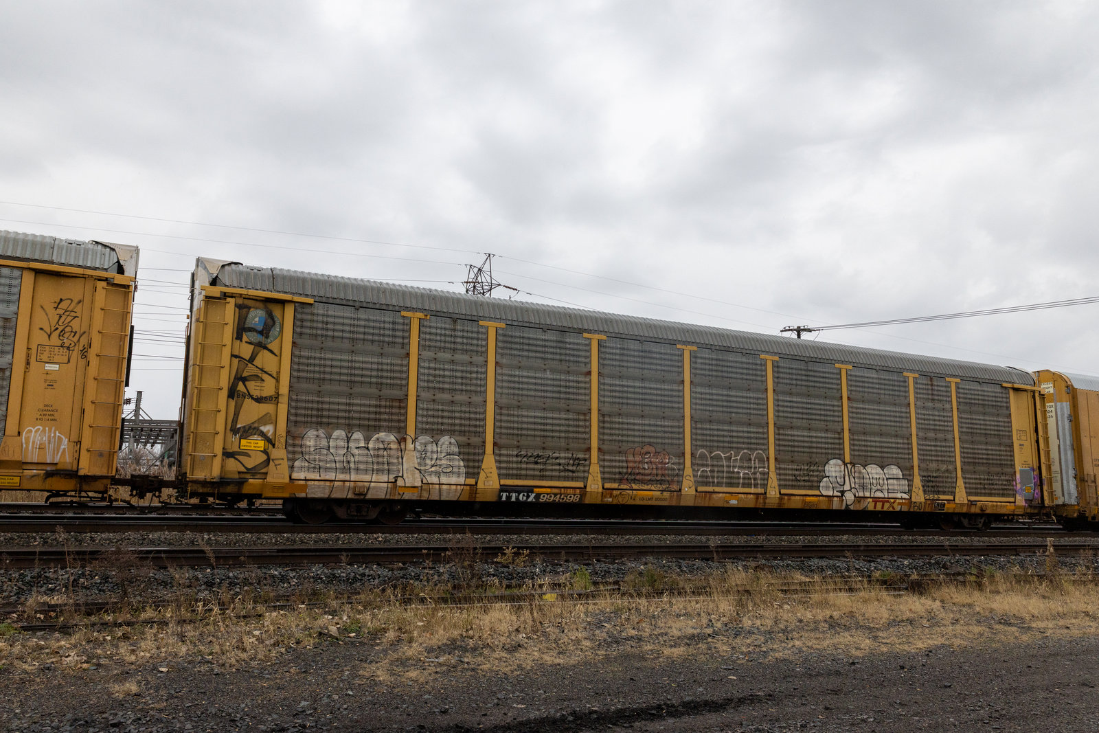TTGX 994598