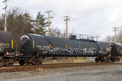 CTCX 137432
