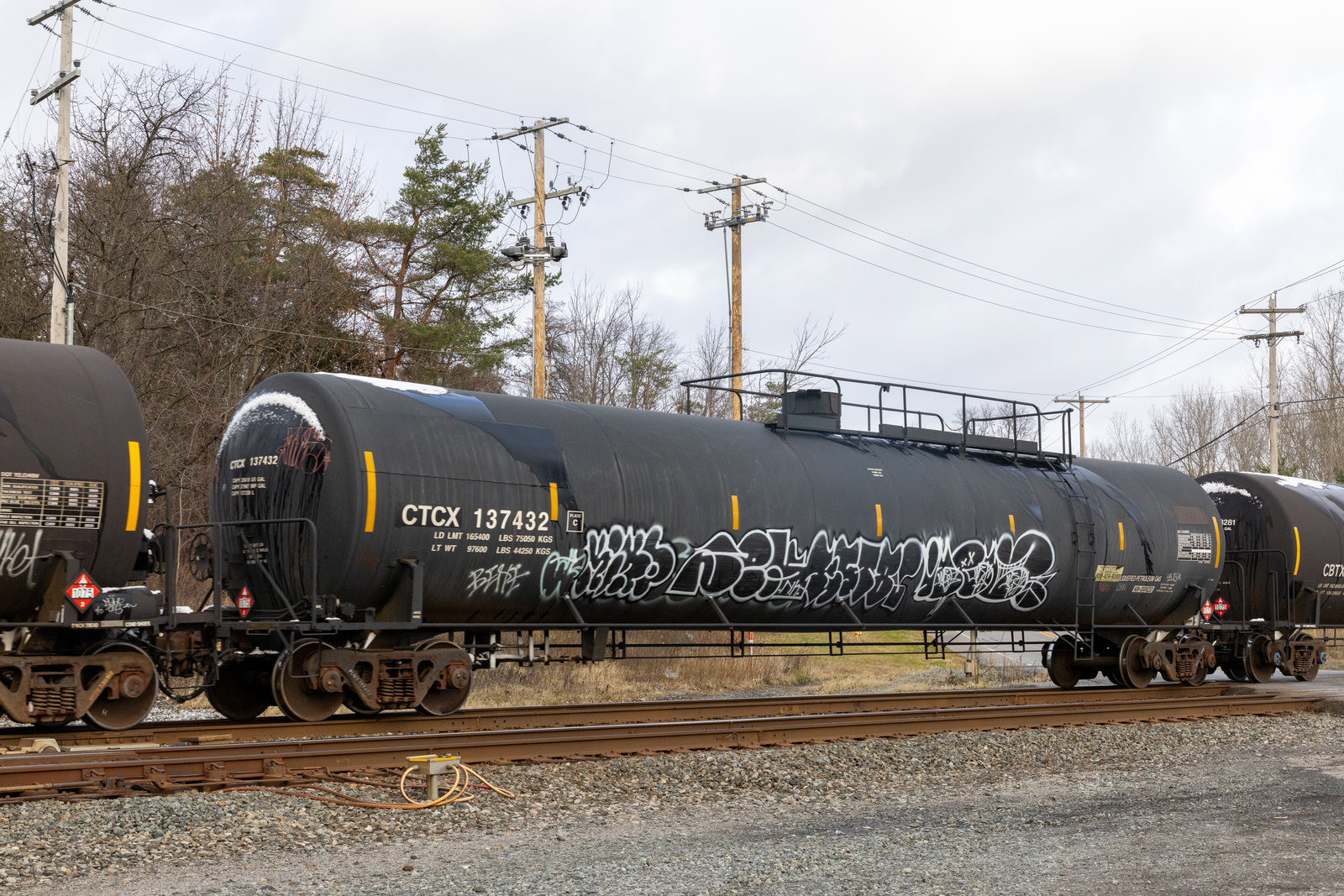 CTCX 137432