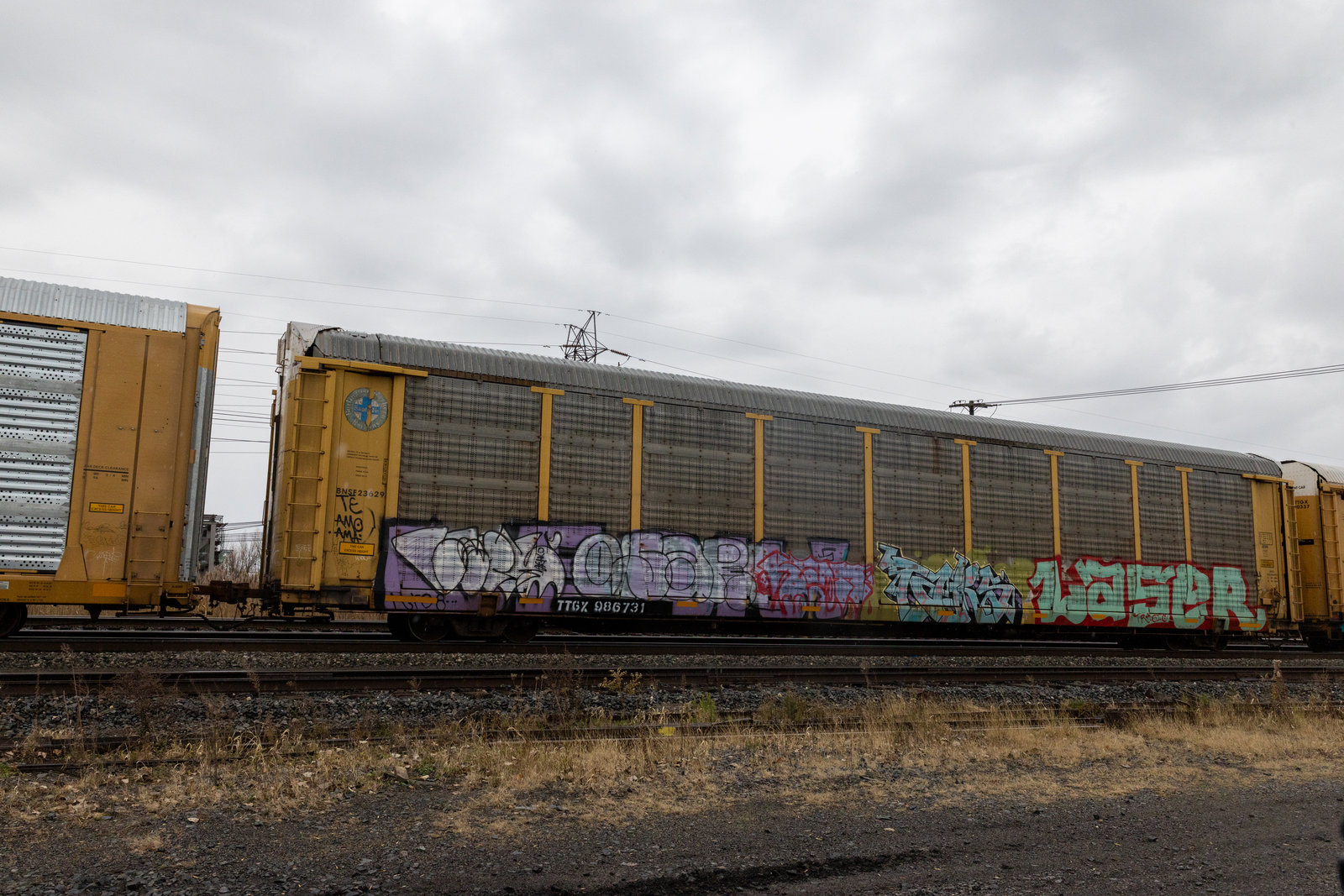 TTGX 986731