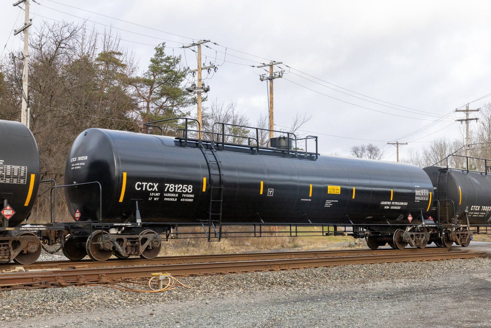 CTCX 781258