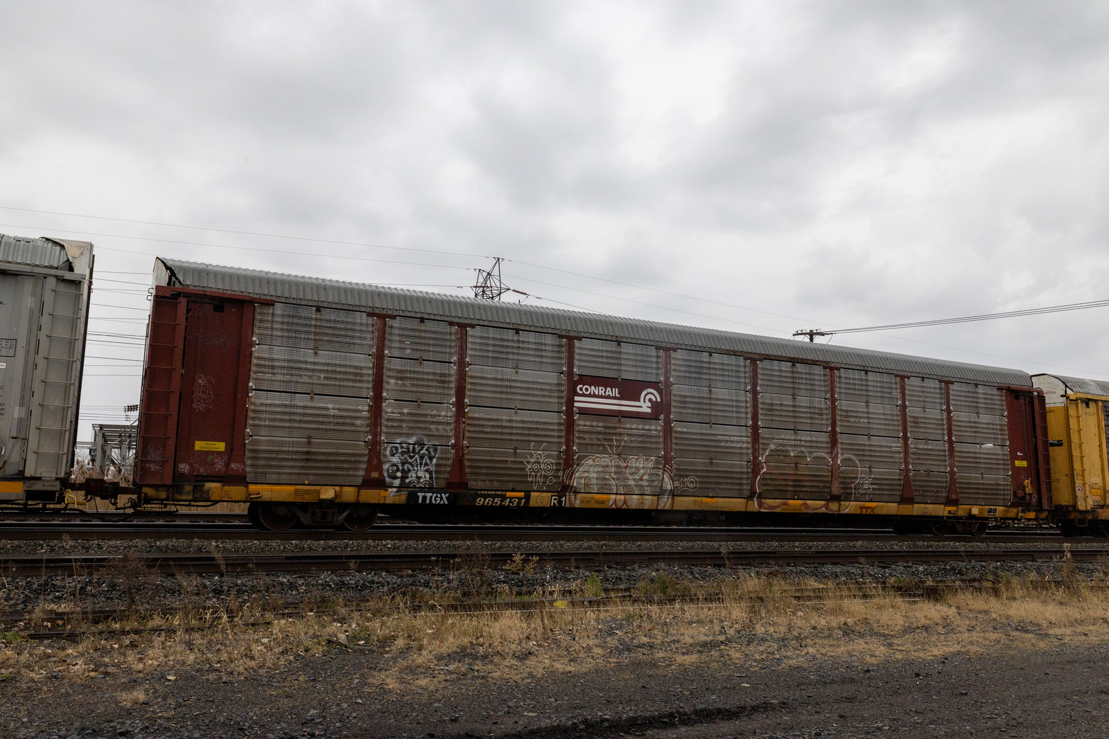 TTGX 965431