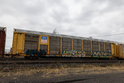 TTGX 159303