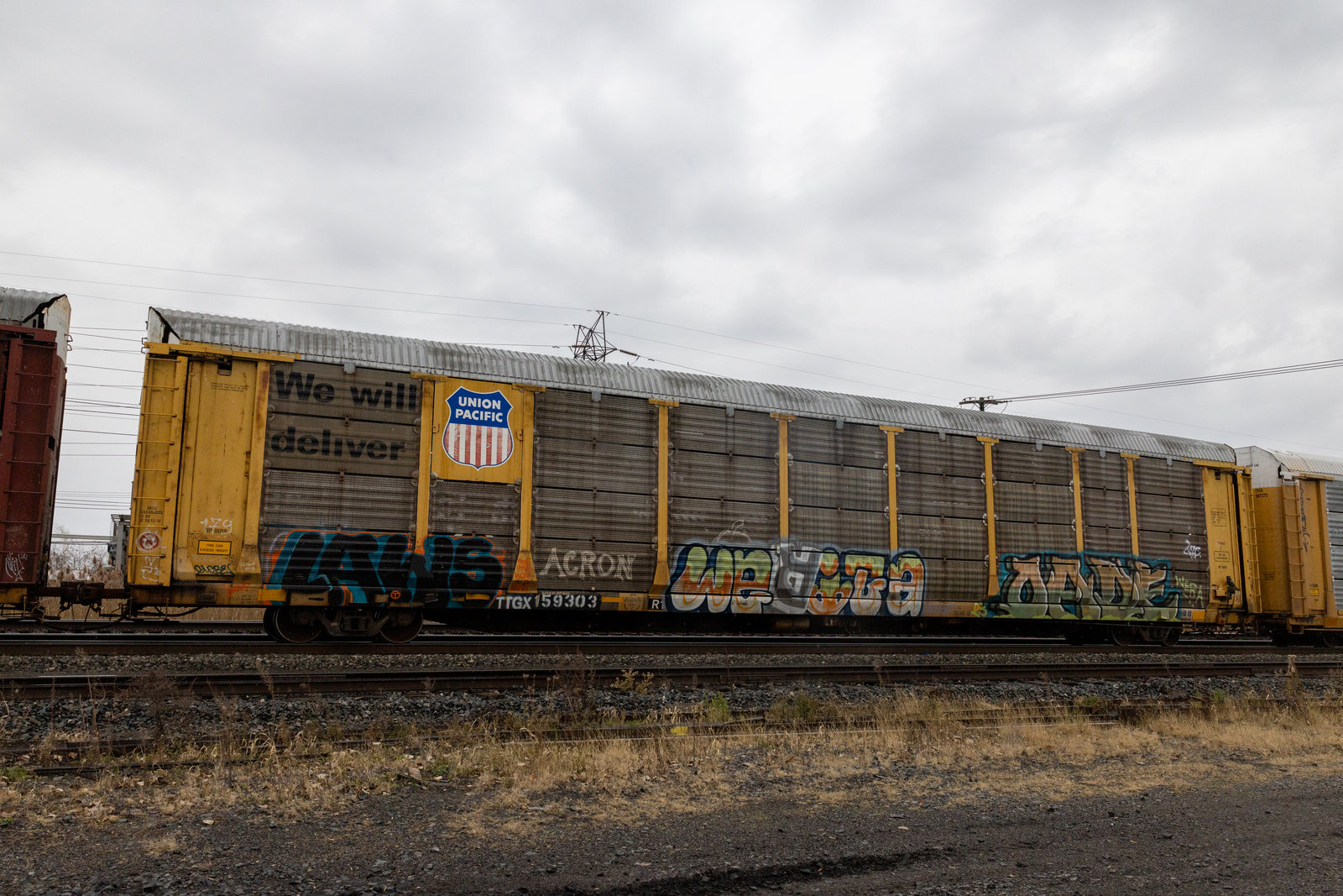 TTGX 159303