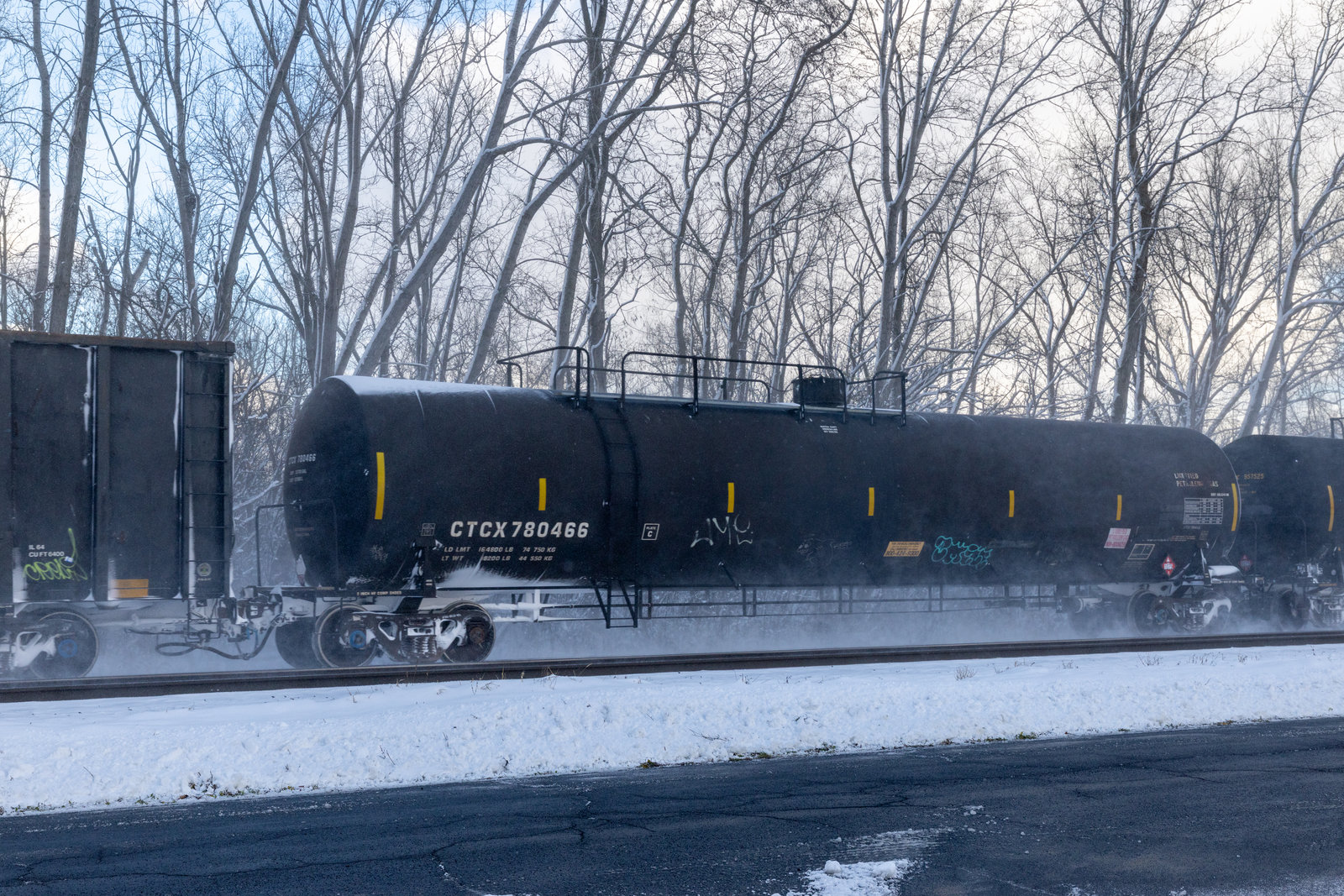 CTCX 780466