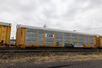 TTGX 987272